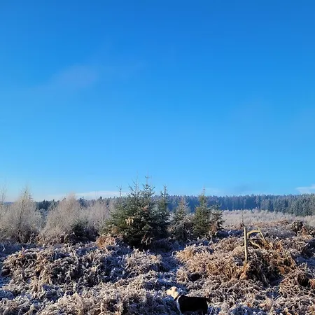 Hunsruecker Tiny Ferien L בית נופש Hottenbach