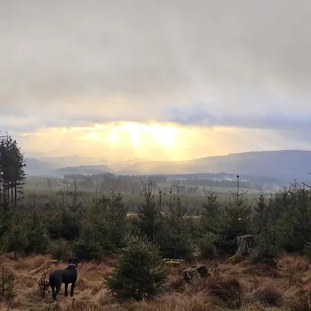 Hunsruecker Tiny Ferien L