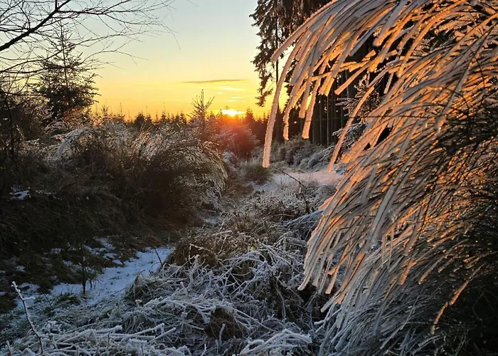 Vakantiehuis Hunsruecker Tiny Ferien L