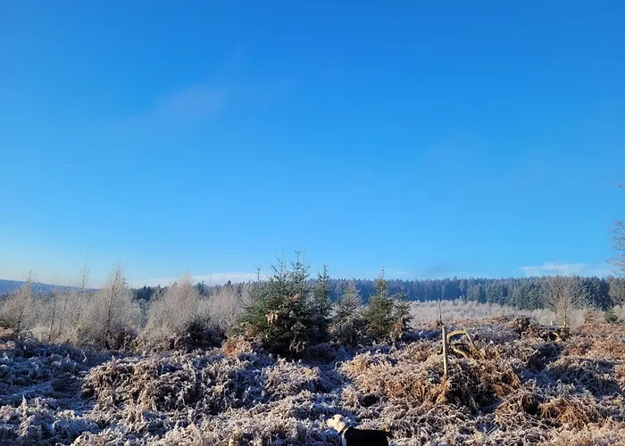 Hunsruecker Tiny Ferien L Casa de Férias Hottenbach