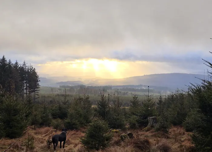 Hunsruecker Tiny Ferien L